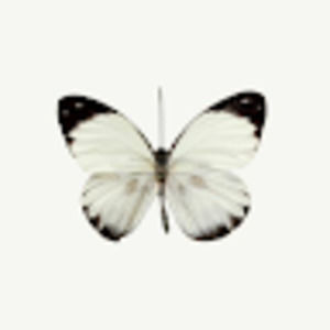 Meet your Posher, Gricelda